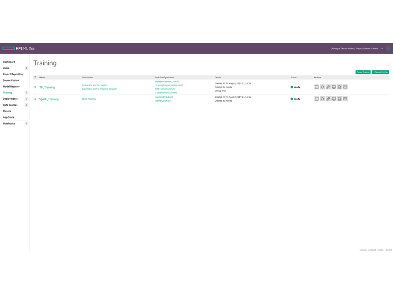 HPE Ezmeral Machine Learning Ops Detail view