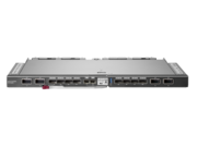 Module HPE Virtual Connect SE F32 100 Go for Synergy